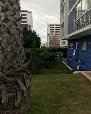 Blue Rocha Apartment